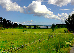 Lutter contre le stress_promenez vous dans la nature